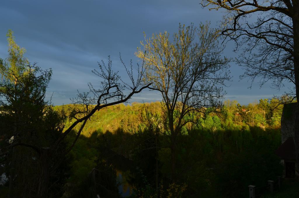Penzion Vila Elektra Bechyne Bagian luar foto